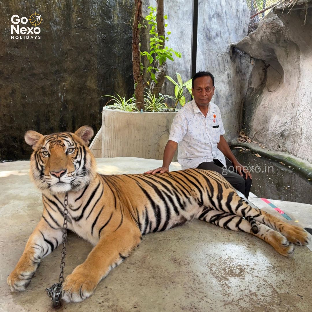 Tiger Topia Thailand